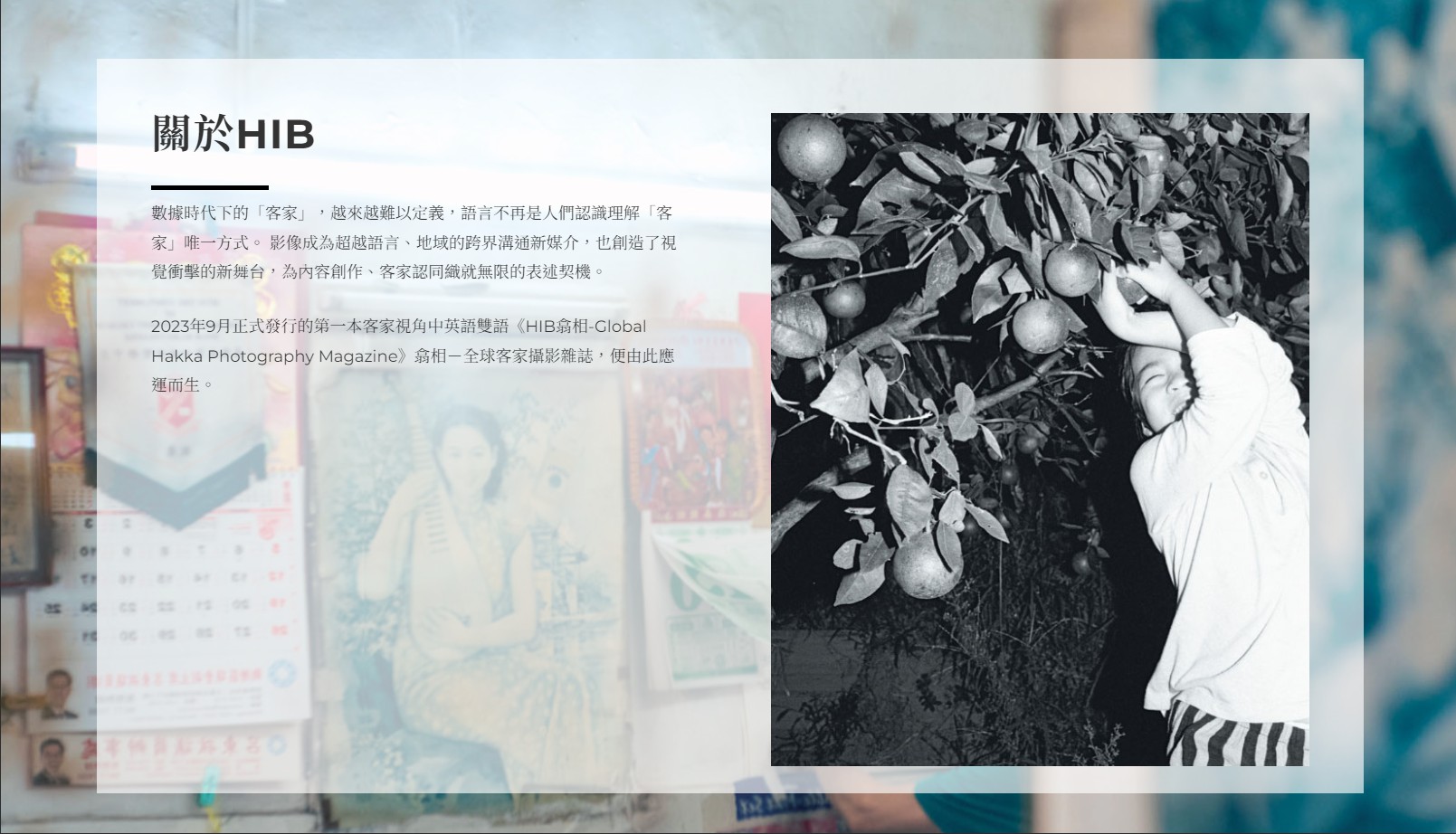 網頁設計~客家公共傳播基金會