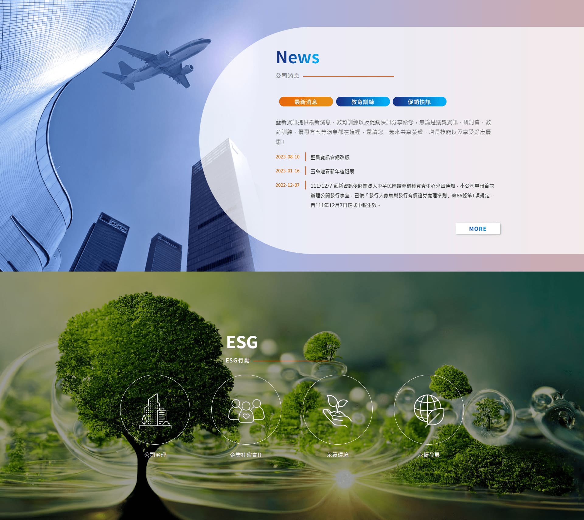 網頁設計～藍新資訊