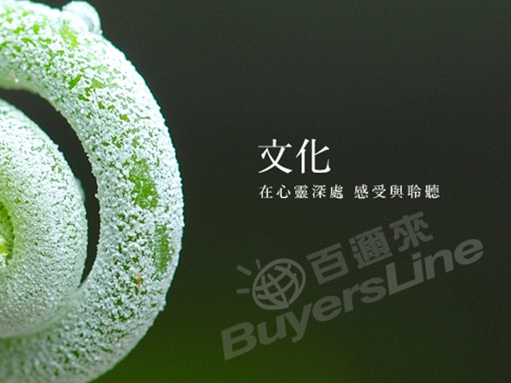 台灣藝術文化基金會