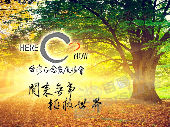 臺灣正念發展協會 網頁設計案例作品